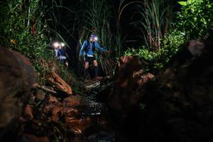 BIB: 
                            <button type="button" onclick="openModal(26413150)" class="btn btn-primary btn-sm float-right btn-popup" data-toggle="modal" data-target=".modal-high-quality">
                        <i class="fas fa-shopping-cart"></i> Add to Cart
                    </button>
                                            <button type="button" onclick="isThisMe(26413150, true)" class="btn btn-success btn-sm float-right btn-popup btn-isme hidden" data-toggle="tooltip" data-placement="bottom" title="นี่คือรูปของคุณใช่ไหม คลิกที่นี่เพื่อเอาเข้าอัลบั้ม">
                        <i class="fas fa-plus"></i> Add to album
                    </button>
                    <button type="button" onclick="isThisMe(26413150, false)" class="btn btn-warning btn-sm float-right btn-popup btn-isnotme hidden">
                        <i class="fas fa-ban"></i> Remove from album
                    </button>